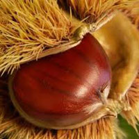 castagne secche