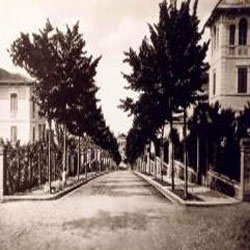 viale biondi